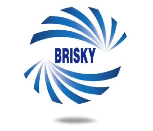 BRISKY LOGO